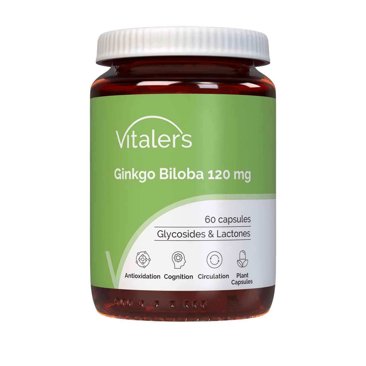 Vitaler's Ginkgo Biloba 120 mg - 60 Capsules