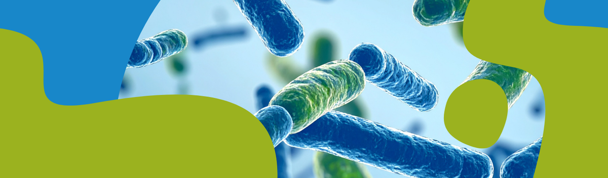 How to Choose the Best Probiotic Supplement