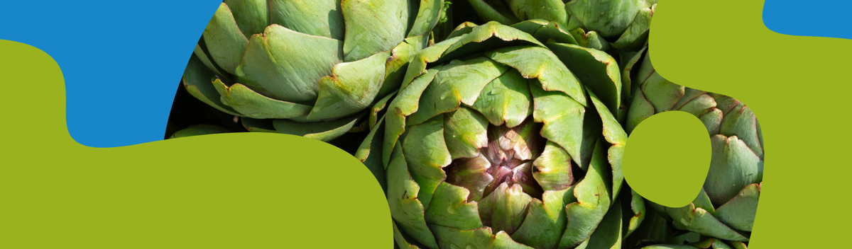 Artichoke Extract: Liver, Cholesterol & Digestive Benefits
